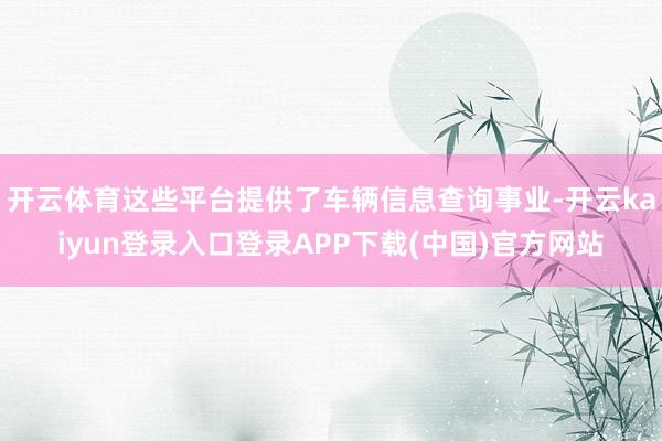 开云体育这些平台提供了车辆信息查询事业-开云kaiyun登录入口登录APP下载(中国)官方网站