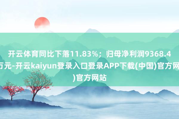 开云体育同比下落11.83%；归母净利润9368.47万元-开云kaiyun登录入口登录APP下载(中国)官方网站